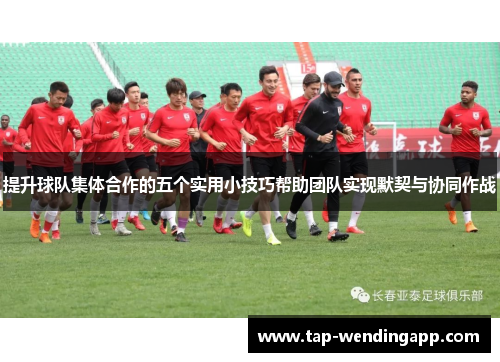 提升球队集体合作的五个实用小技巧帮助团队实现默契与协同作战