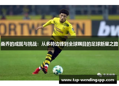 桑乔的成就与挑战：从多特边锋到全球瞩目的足球新星之路