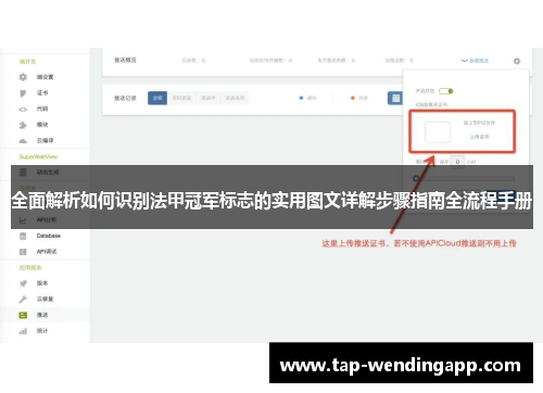 全面解析如何识别法甲冠军标志的实用图文详解步骤指南全流程手册