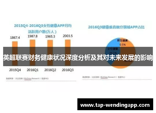 英超联赛财务健康状况深度分析及其对未来发展的影响