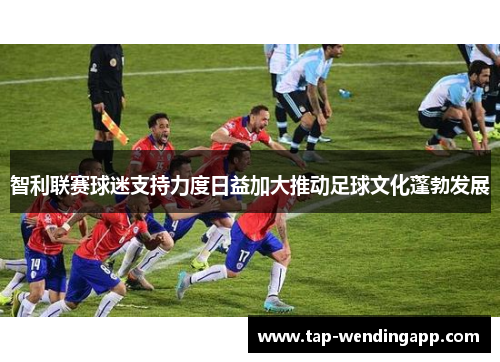 智利联赛球迷支持力度日益加大推动足球文化蓬勃发展