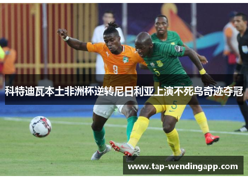 科特迪瓦本土非洲杯逆转尼日利亚上演不死鸟奇迹夺冠 科特迪瓦本土非洲杯逆转尼日利亚上演不死鸟奇迹夺冠