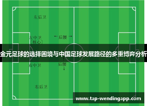金元足球的选择困境与中国足球发展路径的多重博弈分析