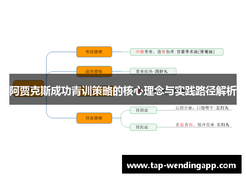 阿贾克斯成功青训策略的核心理念与实践路径解析